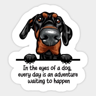 In the eyes of a dog,  every day is an adventure  waiting to happen Sticker